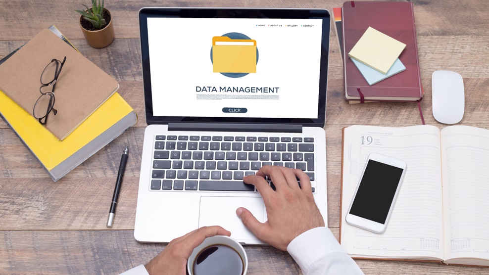 Data Management vs. Data Strategy: What’s the Difference?